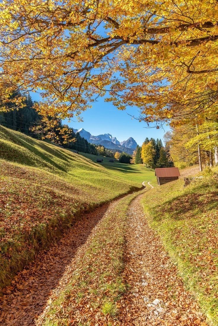 is there any better feeling than kicking leaves in autumn 🍂