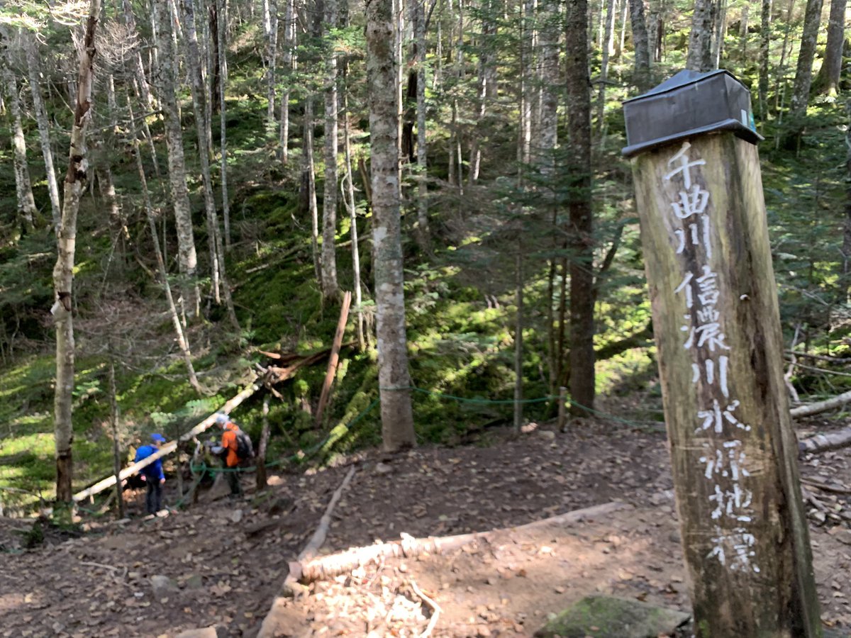 mountTaK's tweet photo. 甲武信ヶ岳行ってきました⛰️
毛木平ピストンで、千曲川源流を楽しめる良き登山でした😆 https://t.co/TwNby62Z0g