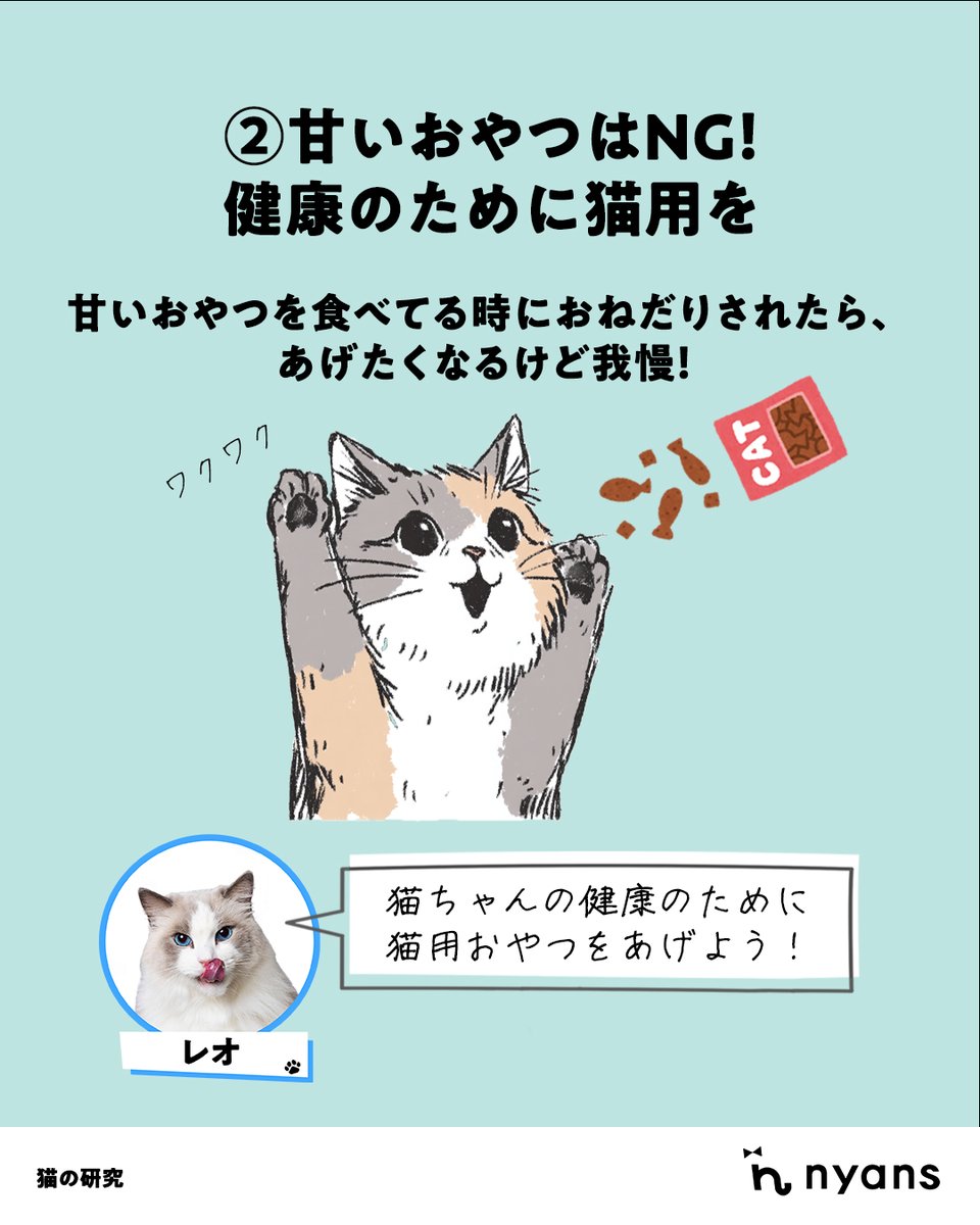 豆猫 ニャンズカード 13枚セット ニャンズカードキャンペーン in カインズ : 海の近くに猫と住んでる