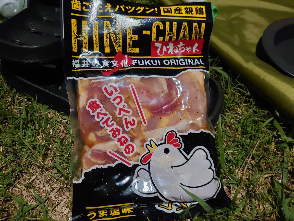 親鶏食ってみた。
鶏なのに謎の歯ごたえあって不思議食感！うめえ！