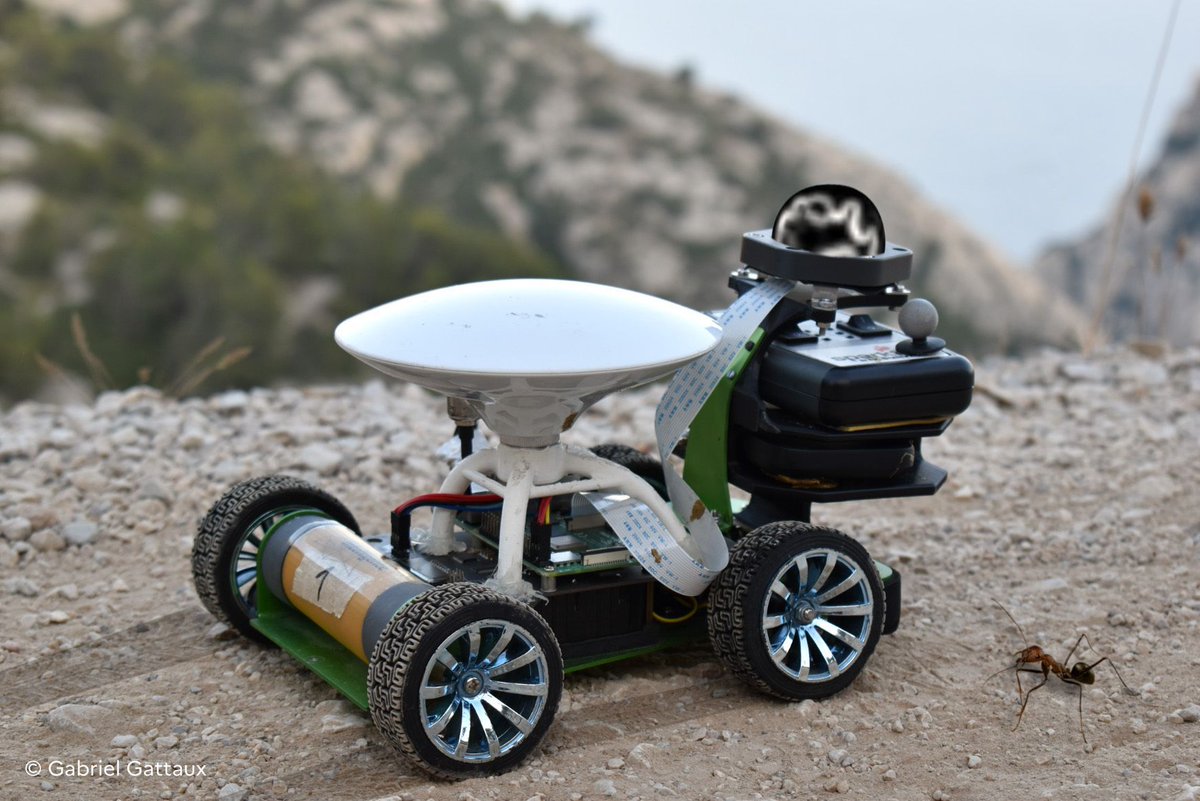 🐜  Mis au point par des chercheurs de l'#ISM et du #CRCA, le robot Antcar s'inspire d’une fourmi du désert : il apprend en une seule fois des trajets d’une cinquantaine de mètres sans localisation externe
➡️ ins2i.cnrs.fr/fr/cnrsinfo/pe…
🤝 #LABSTICC <a href="/FranckRUFFIER/">RUFFIER Franck</a>