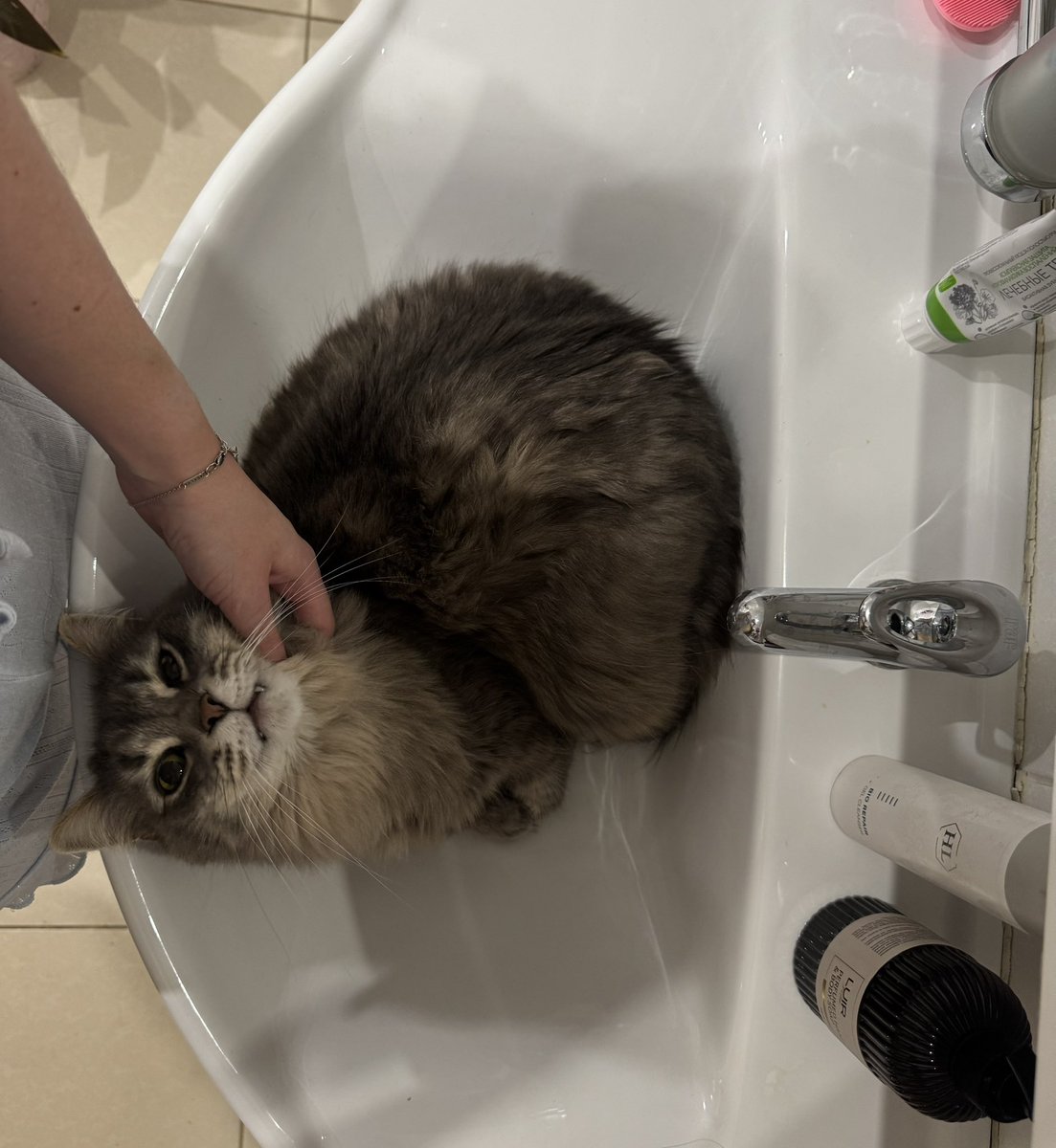 Какая-то пушистая вода сегодня в кране. Кто сталкивался?