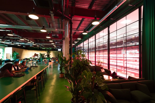 Canada Water Masterplan tweet media