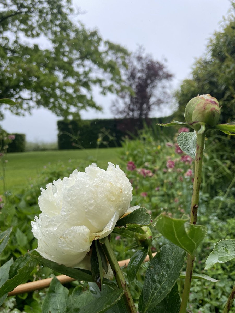 SoenenHans's tweet image. ⁦@LisetteOpTexel⁩ #regen #septemberweer 
Fijne woensdag