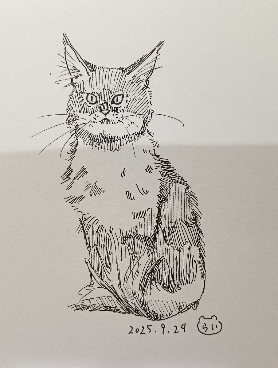 46.けいかいちゅう
#ペン画
#猫