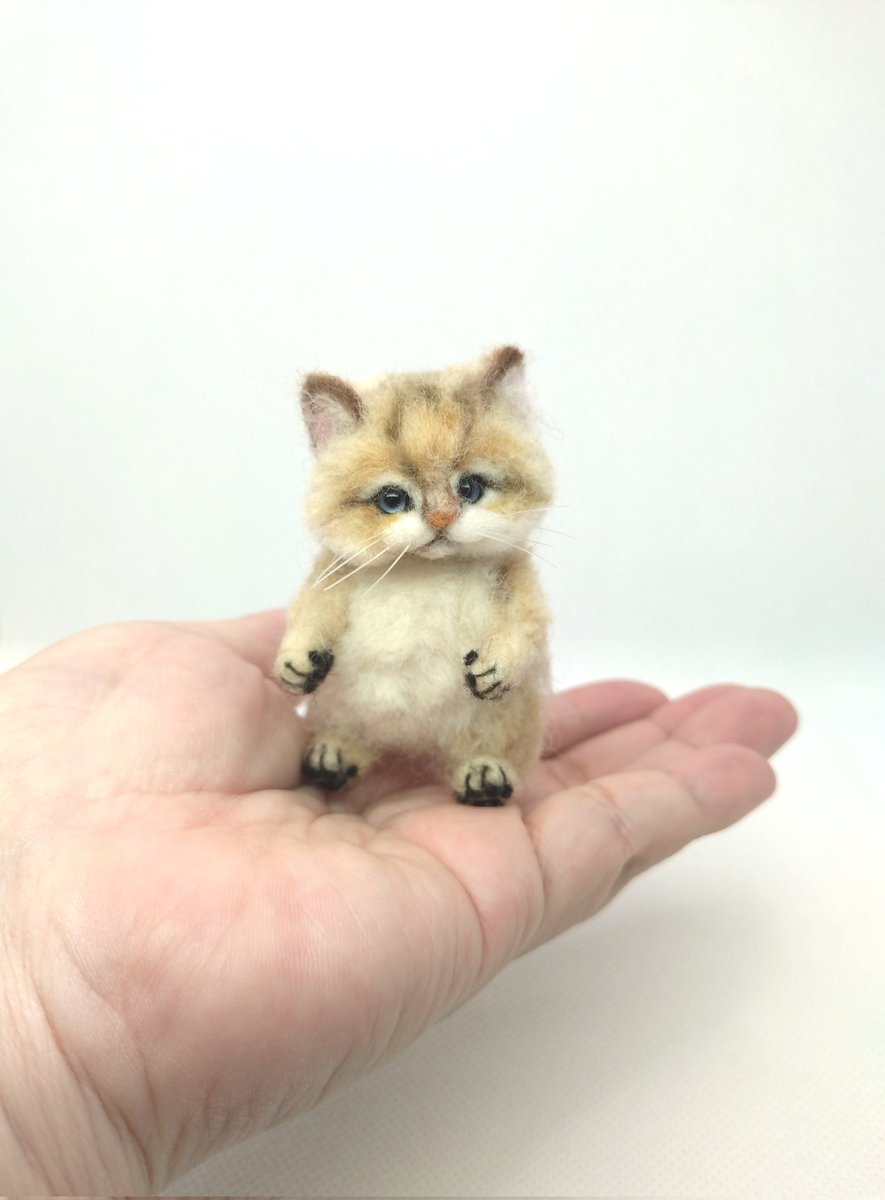 ひらぴー *羊毛フェルト* tweet media