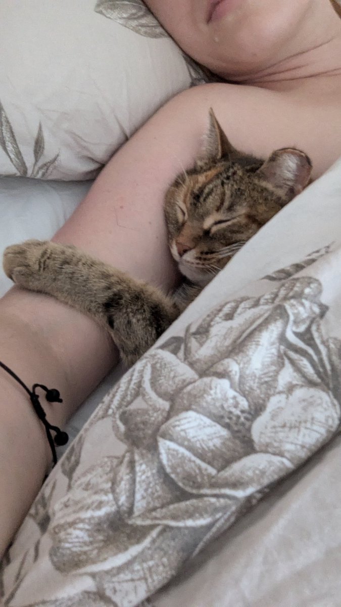 Когда кошочька для сна приходит, вставать просто невозможно