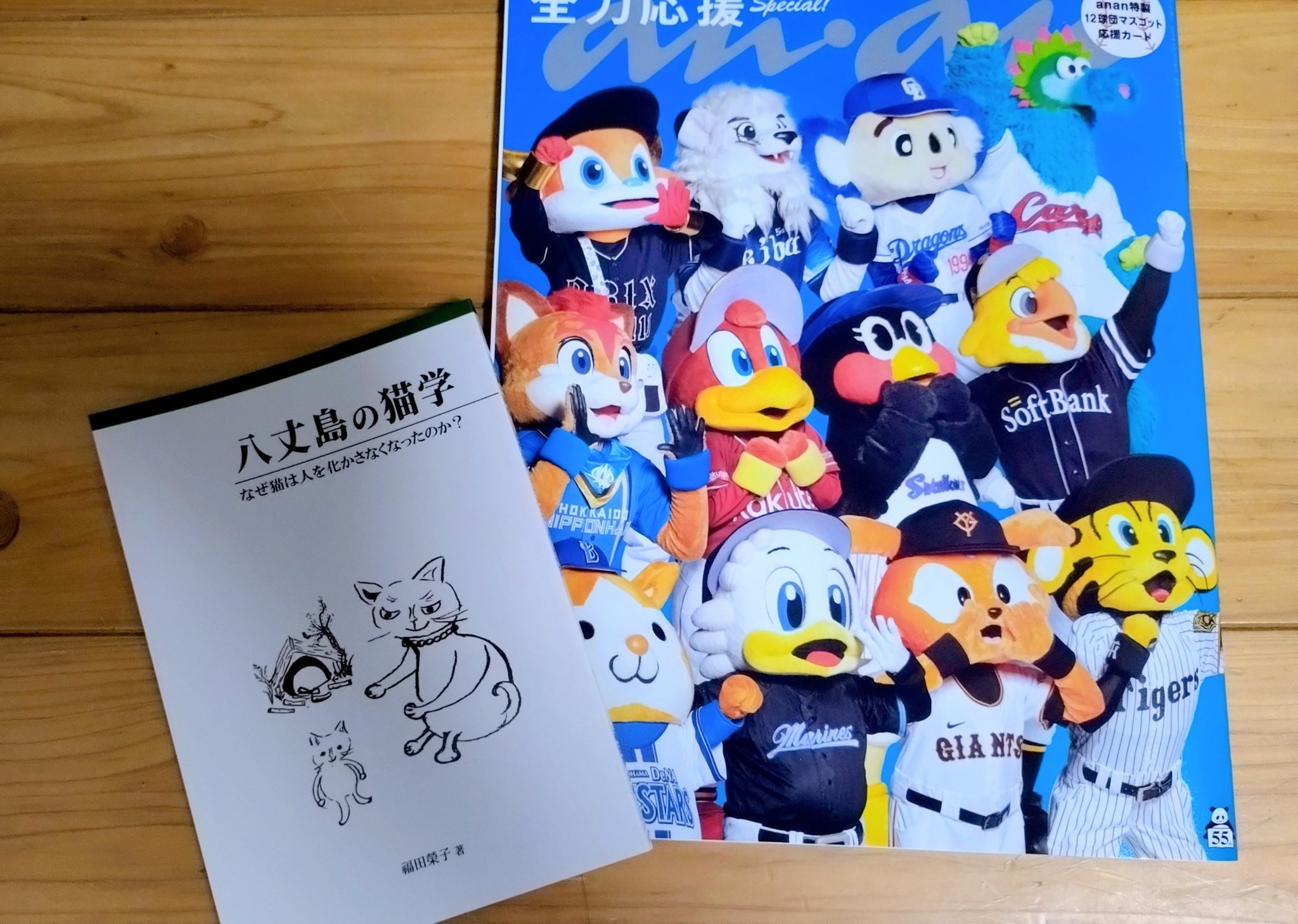 ❤みけねこ屋本舗さま❤高次元量子術エナジー音源❤ じゅん on X: 