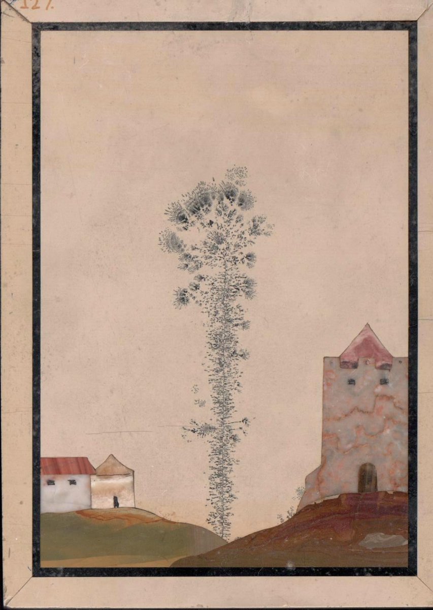 MNCN_Col's tweet photo. These manganese oxide crystallizations were often mistaken for plant fossils because of their appearance, reminiscent of ferns or tree branches, but they are clearly inorganic structures created by natural chemical processes. #Geology #Mineral #Dendrites #HistSci #SciArt #Museums https://t.co/ZapIOzFLtN