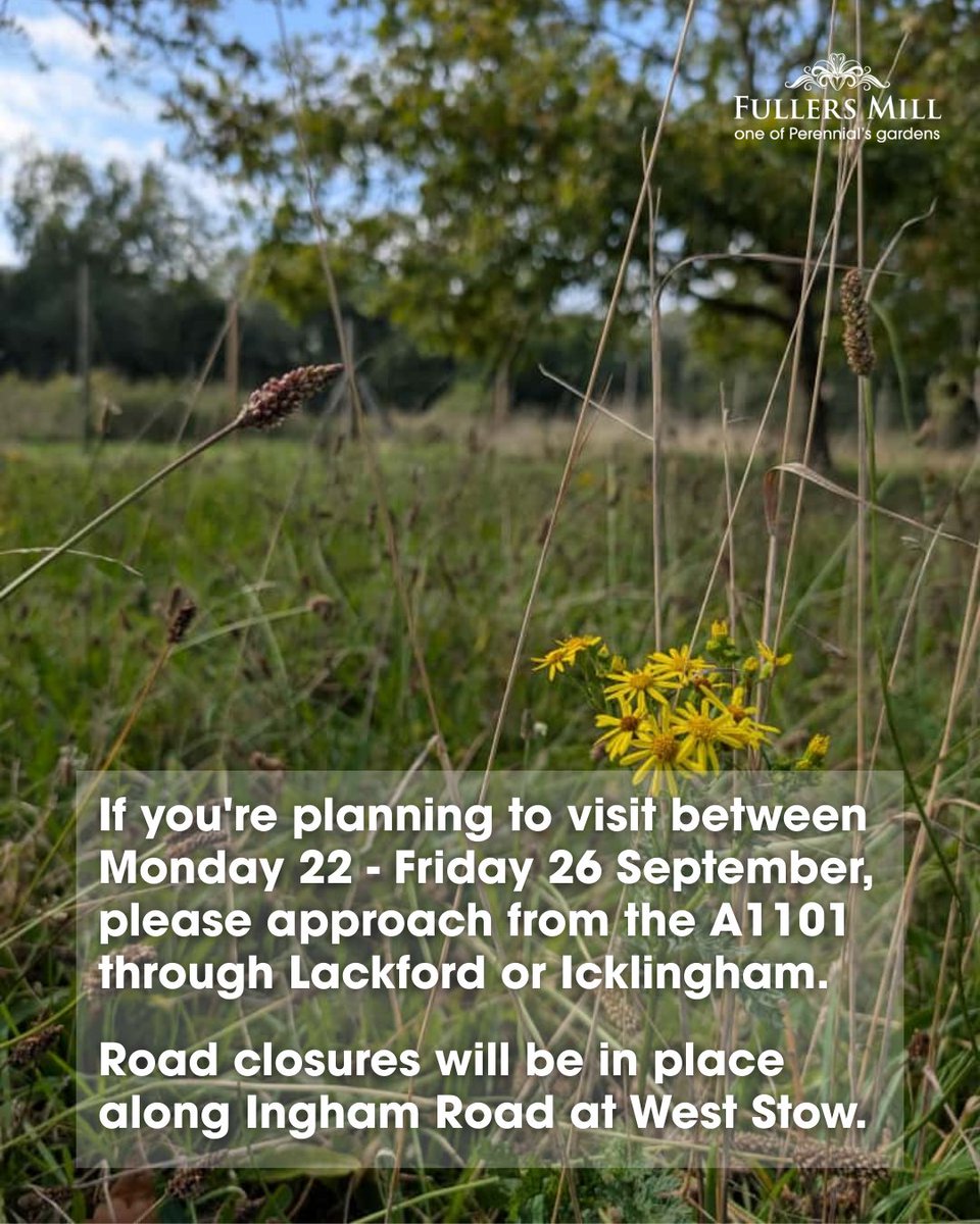 Visiting us this week? 🍂

From Mon 22 – Fri 26 September, please approach via the A1101 through Lackford or Icklingham, as Ingham Road at West Stow will be closed.

ℹ️ perennial.org.uk/gardens/garden…

#PerennialsGardens #BuryStEdmunds #WestStow