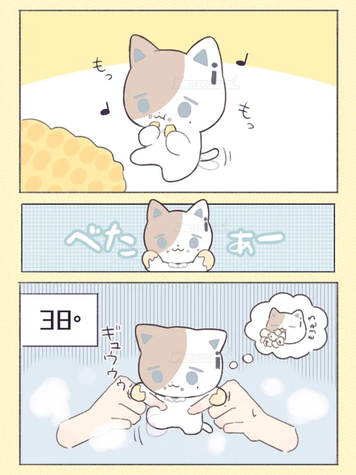 🛁 