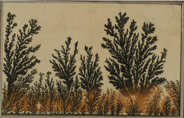 MNCN_Col's tweet photo. These manganese oxide crystallizations were often mistaken for plant fossils because of their appearance, reminiscent of ferns or tree branches, but they are clearly inorganic structures created by natural chemical processes. #Geology #Mineral #Dendrites #HistSci #SciArt #Museums https://t.co/ZapIOzFLtN