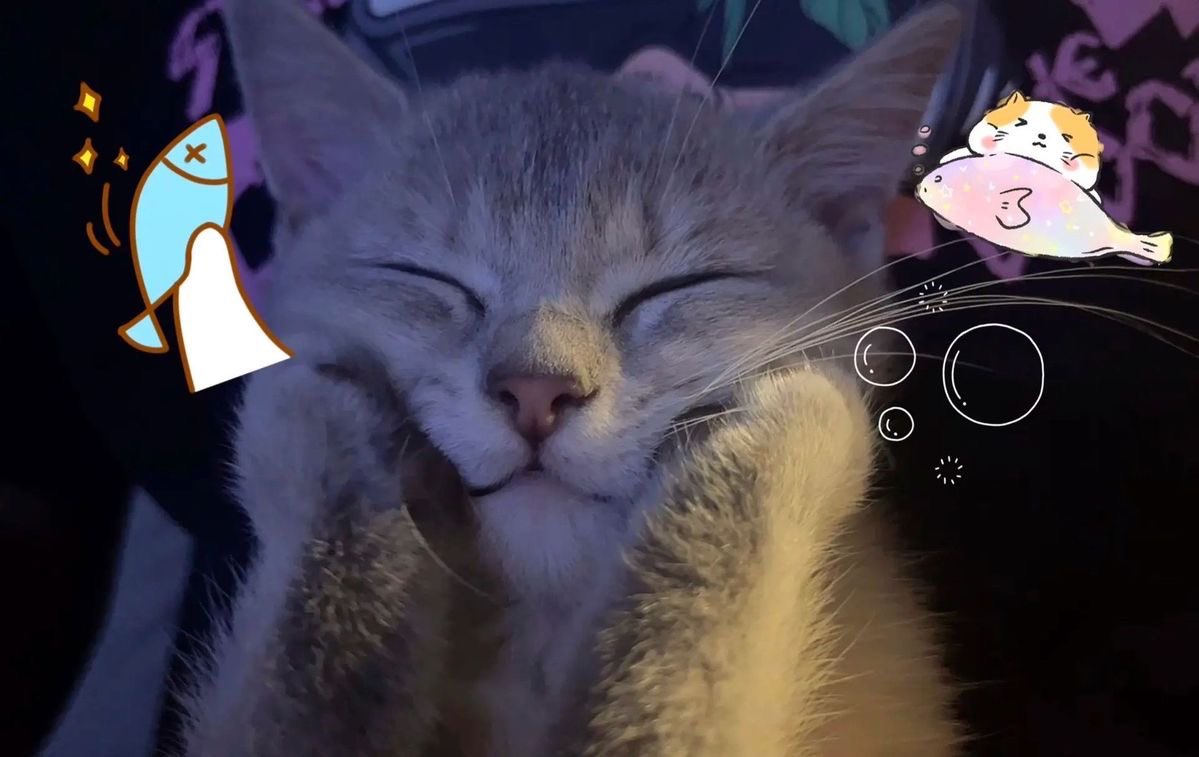 Baraa🐱 (@braauwu) on Twitter photo 