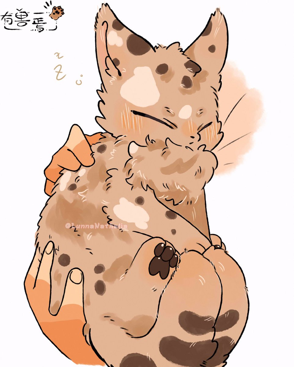 Lunna  (@lunnanathalia) on Twitter photo 