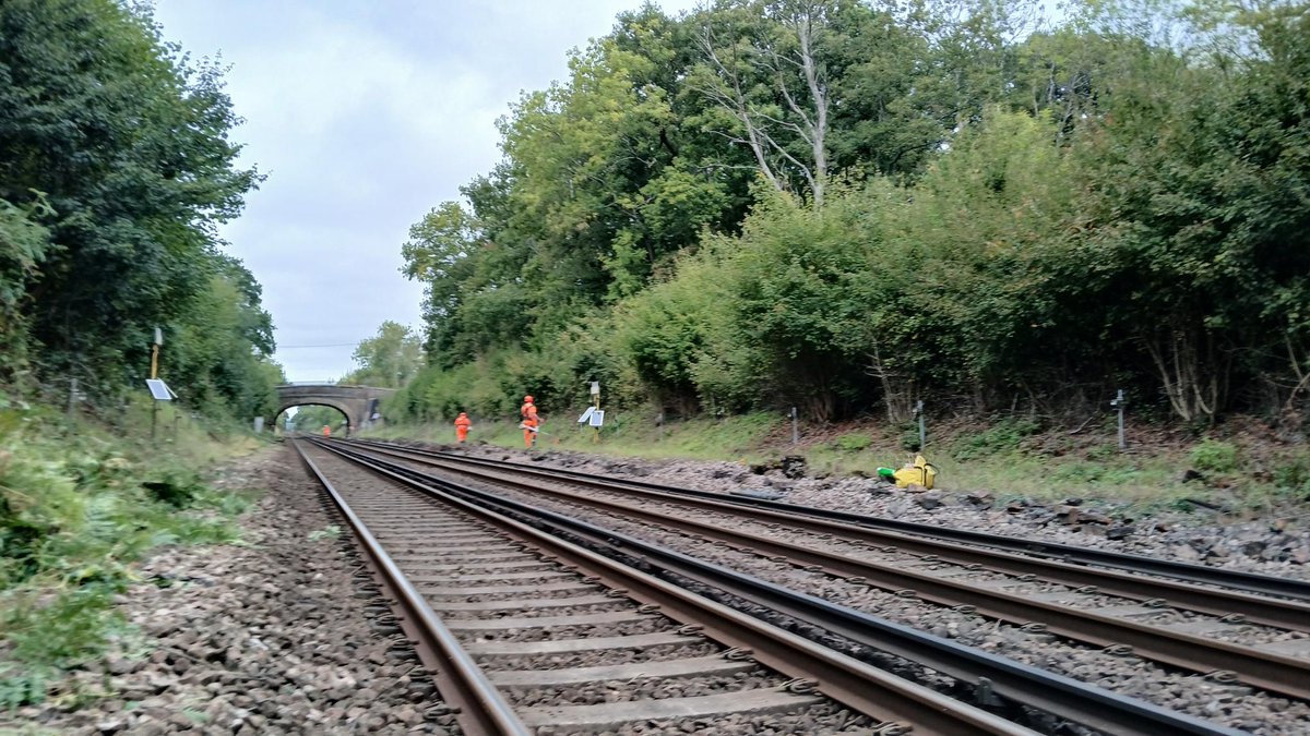 Elite Project Services tweet media