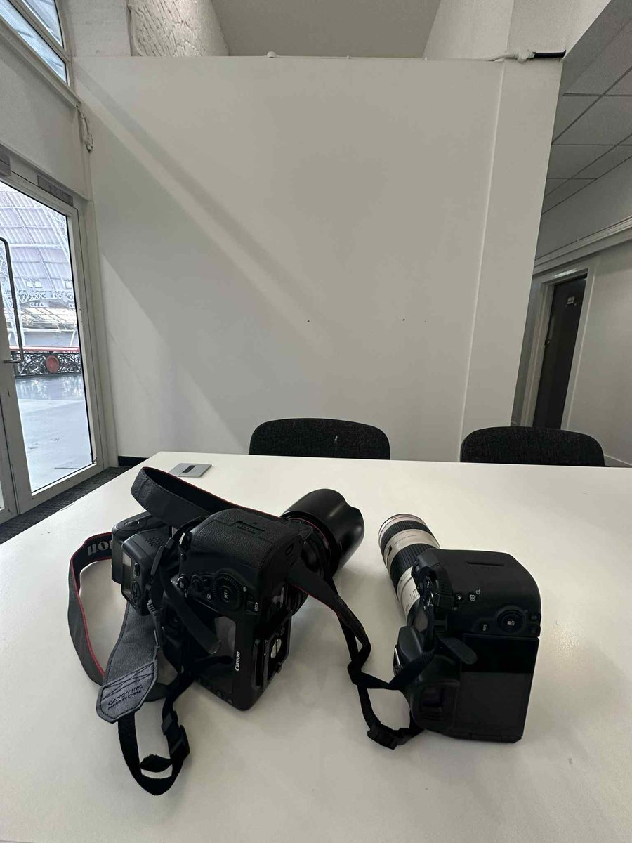 Zelda de Hollander tweet media