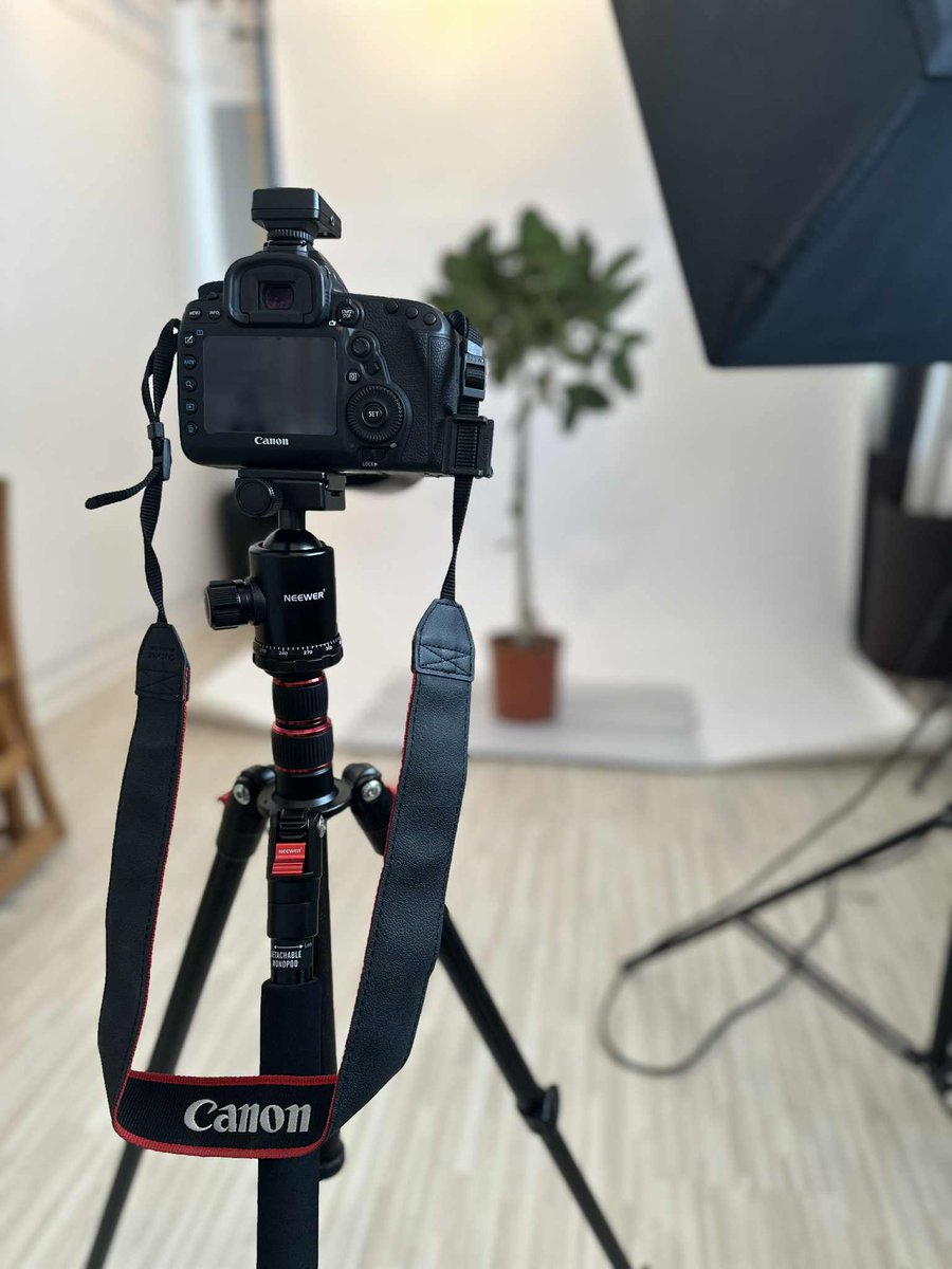 Zelda de Hollander tweet media