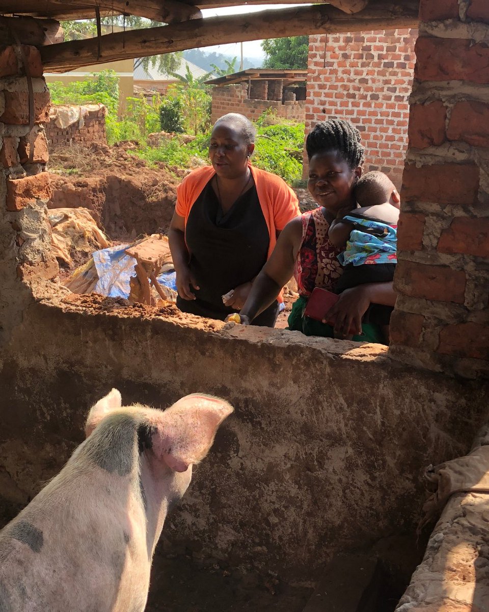 Just a Drop tweet media