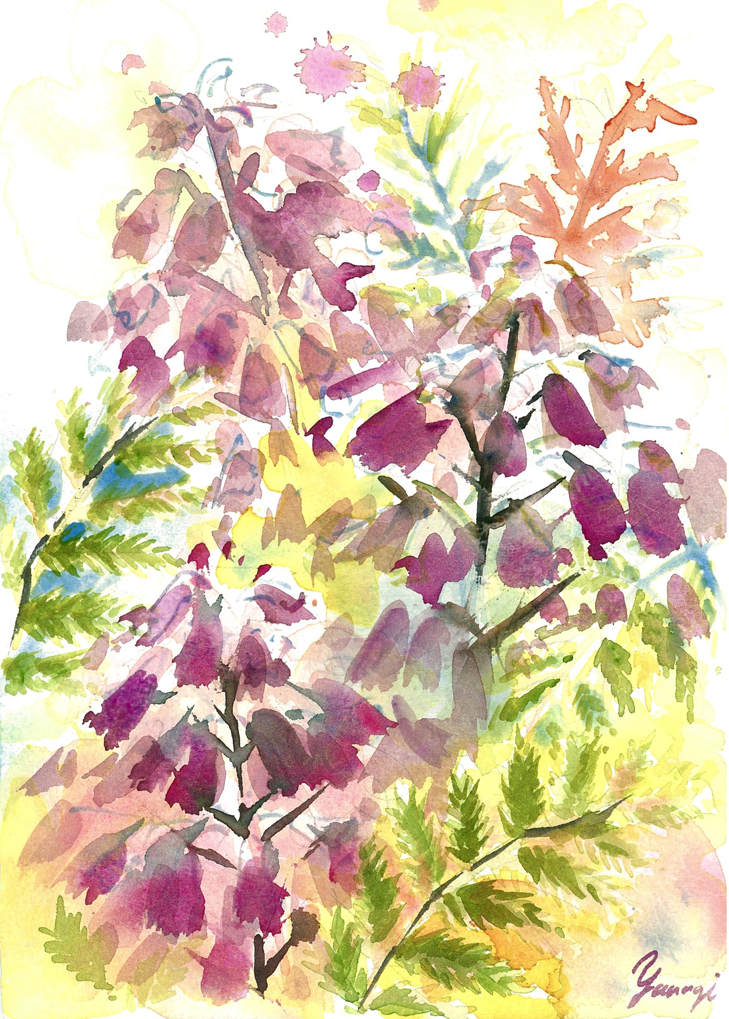 水彩画 image.jpg