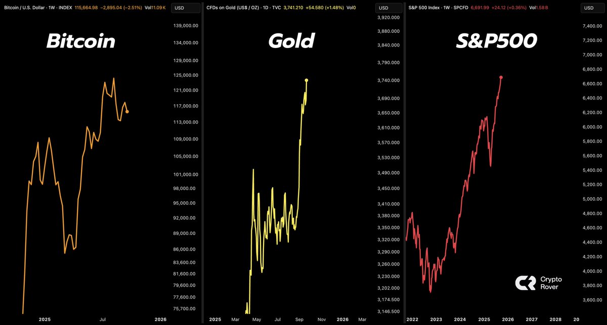 Crypto Rover tweet media
