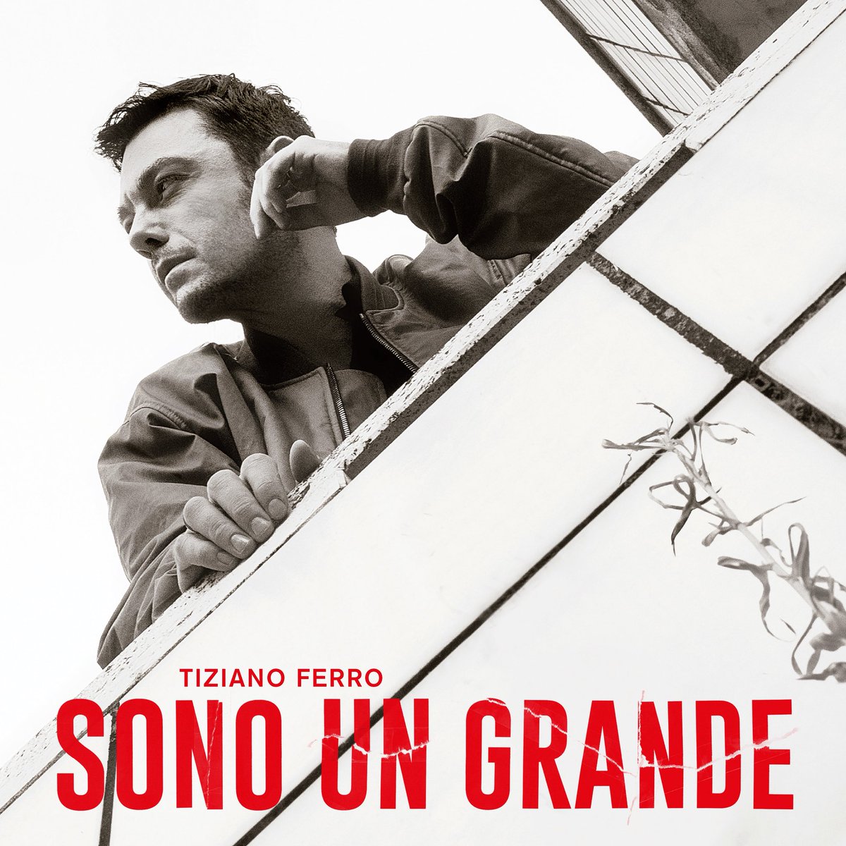 “SONO UN GRANDE” è il nuovo album di <a href="/TizianoFerro/">Tiziano Ferro</a>, fuori il 24 ottobre.

Da ora puoi ordinarlo in tutte le sue versioni. Sul nostro store trovi l’esclusiva in vinile e cd rosso con poster autografato sugarmusic.lnk.to/SonoUnGrande

“Perché se non sono ancora morto
Sarà per caso, sarà