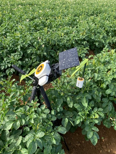 Dyson Farming Research tweet media