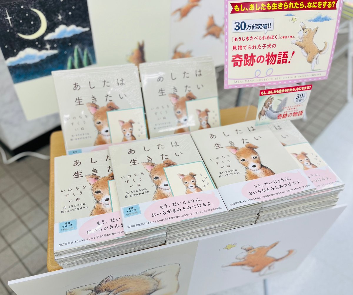 【中古】 パリ 第９改訂版/実業之日本社/実業之日本社 書籍 | 実業之日本社