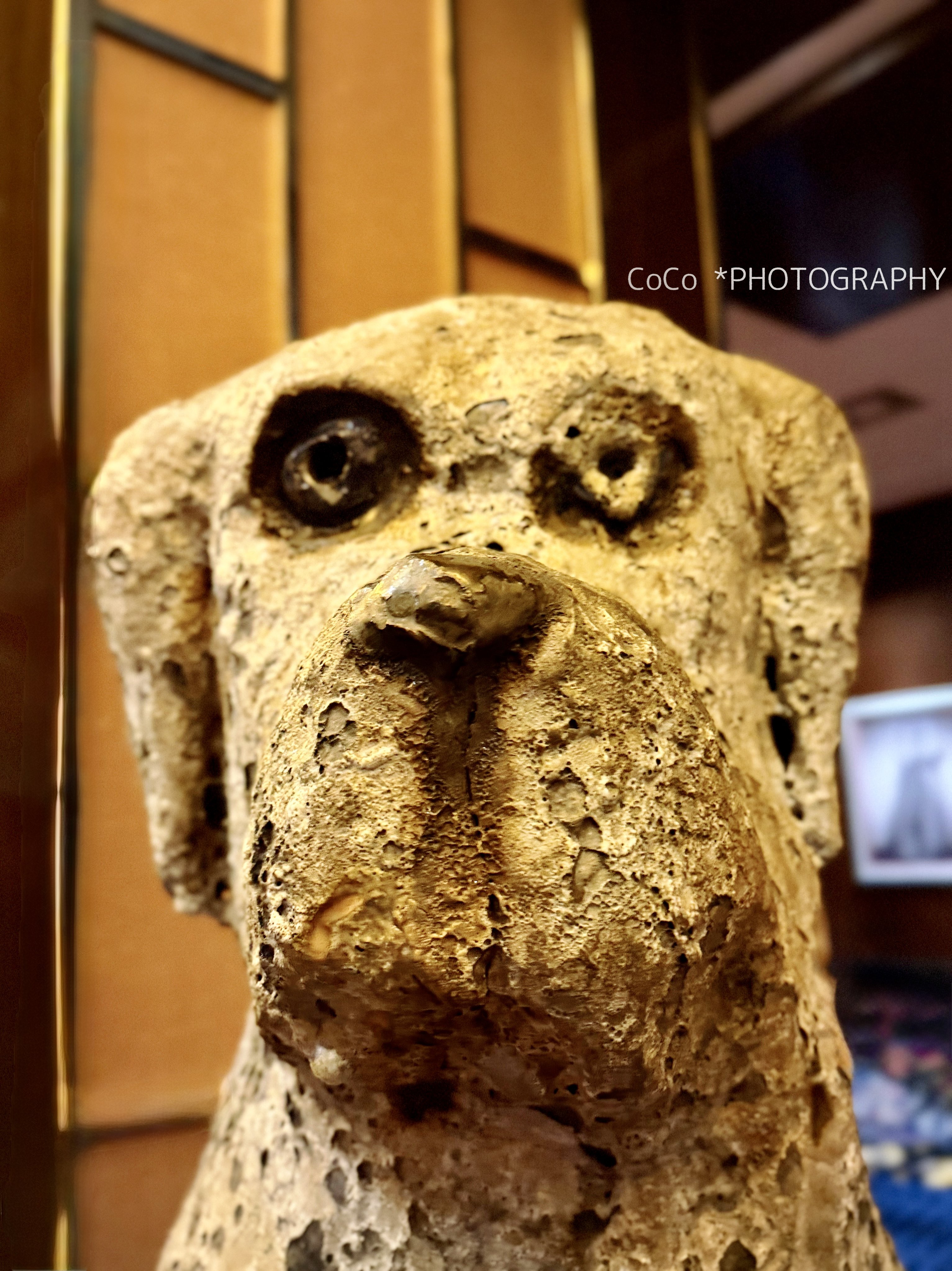 coco (@39coco39coco) / X