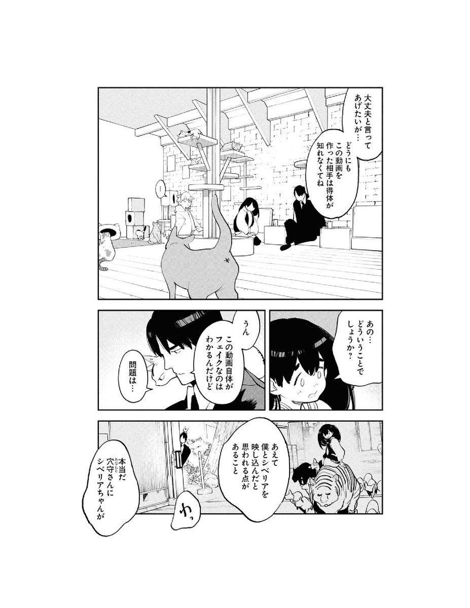 猫の多頭飼いの濡れ衣で家をおいだされる話(3/7) 
