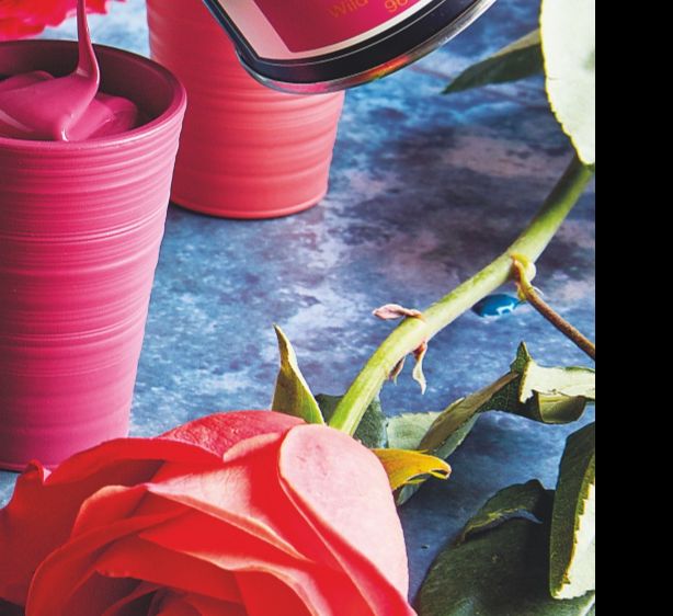 Refreshing your home and not sure about your colour palette? We will be happy to help you plan a cohesive look unique to you and your home. Book your Paint &amp; Paper consultation 
Get in touch 07854 167478
acanthusinteriors.com

#paint #decor #projects #home #interiordesign