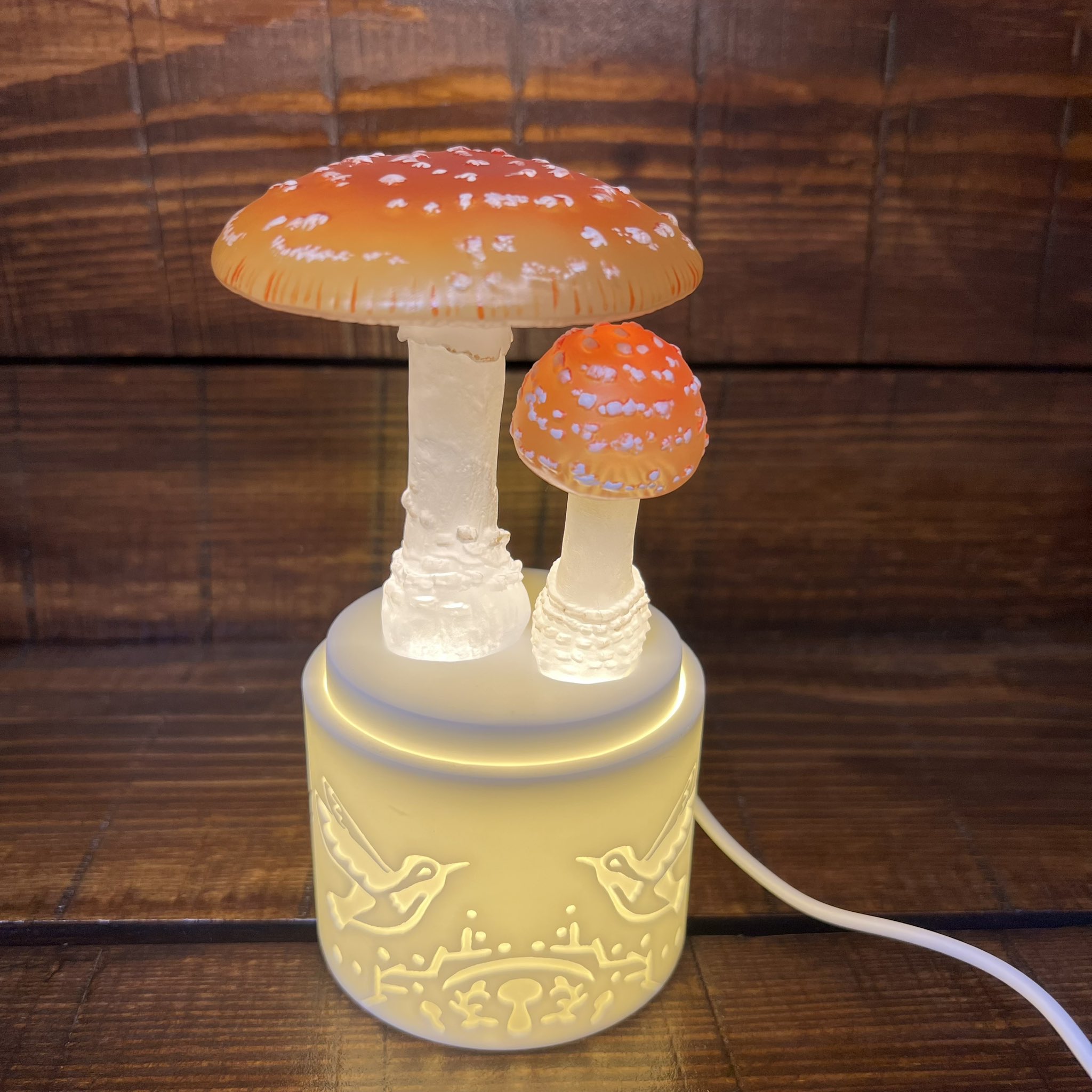 キノコ♡ きのこ🍄 on X: 