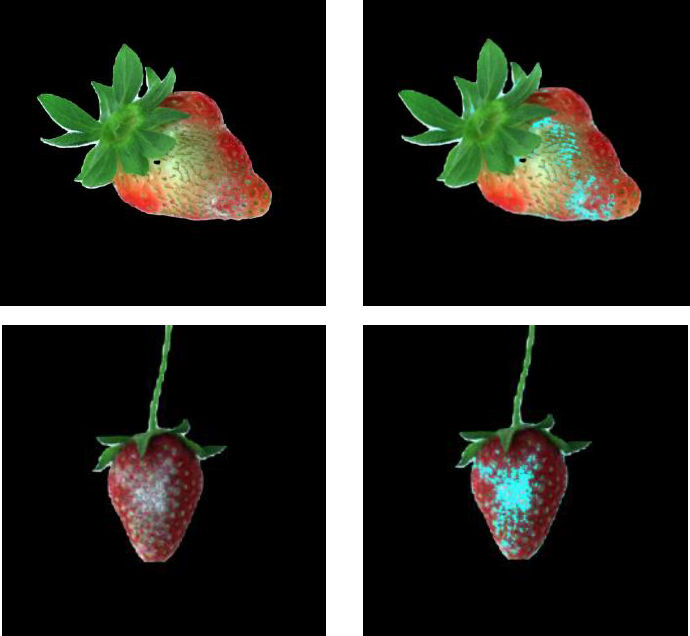 Dyson Farming Research tweet media