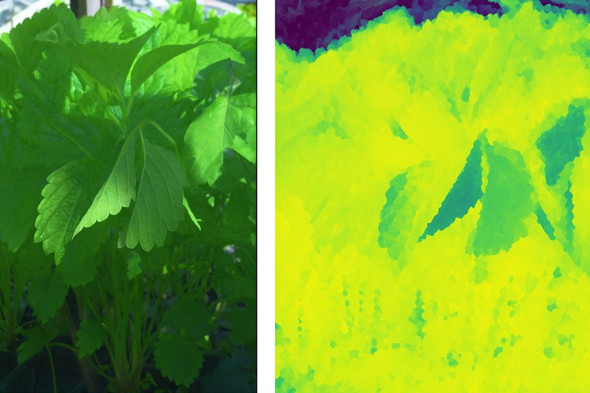 Dyson Farming Research tweet media