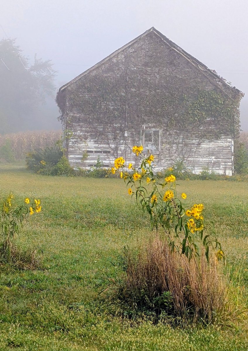 billiesucher's tweet image. &quot;Start where you are. Use what you have. Do what you can.” 
~ Arthur Ashe 
#life  #perspectives  #careers #jobsearch