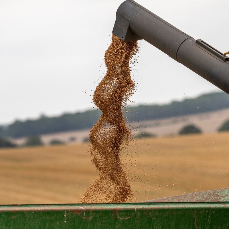 Dyson Farming Research tweet media