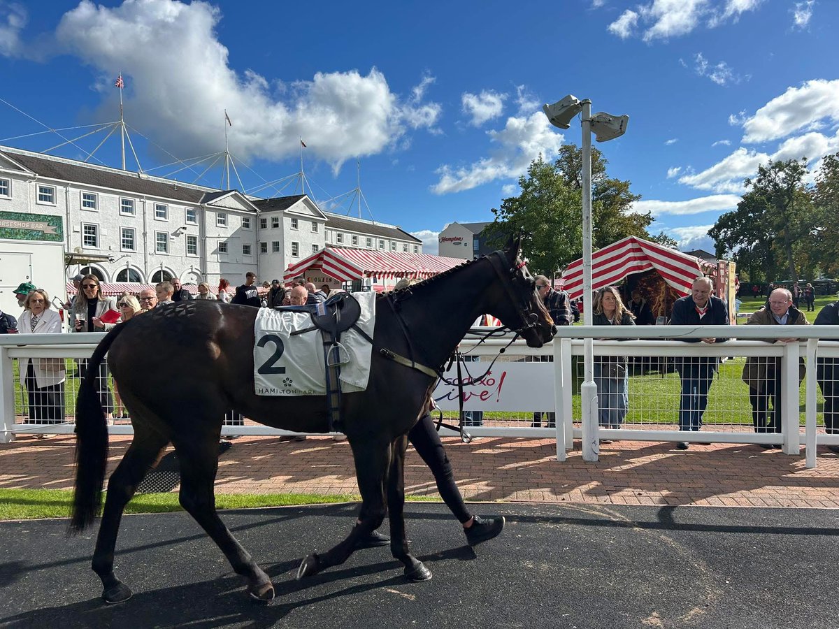 Book your share now in our exciting new 3 year old 5 furlong Sprinter with <a href="/JimGoldieRacing/">Jim Goldie Racing</a> Fear And Fast! He had a nice first run at <a href="/HamiltonParkRC/">Hamilton Park</a> and he will be in action again soon! Email - LBLhorses@gmail.com. 

website - letsbeluckyracing.com