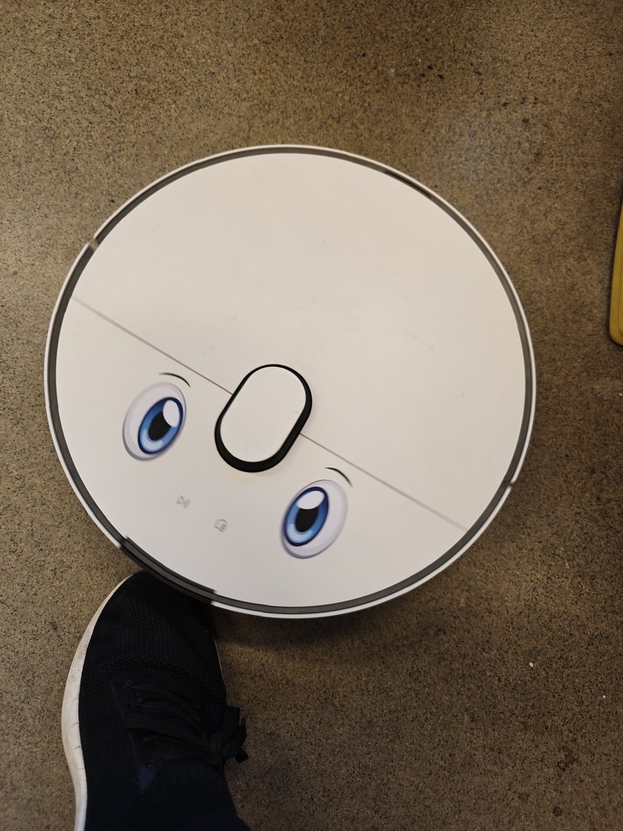 Kawaii vacuum on the prowl