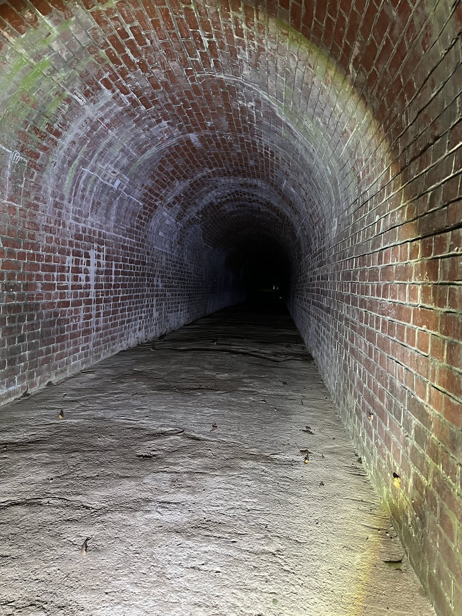 映画「千と千尋の神隠し」の中に出てきたトンネルがモデルとなったトンネルが存在。
あくまで噂のようですが、実際に行って見てみると雰囲気はよく似てました！

「愛のトンネル」といった　
愛称でも呼ばれてるみたいです。
昼間は神秘的な姿をみせる一面夜は少し不気味な雰囲気を感じ取れました。