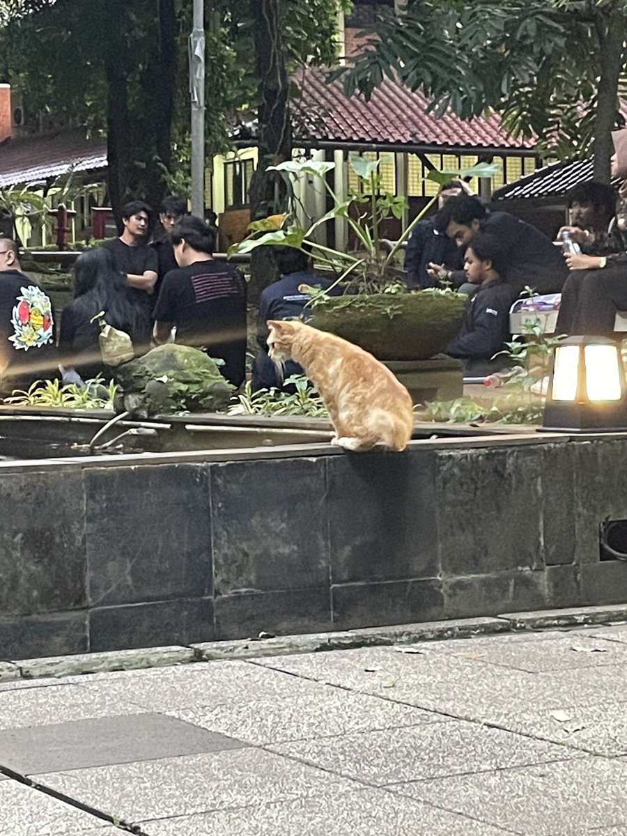 yang belum dateng, kalah sama garfield