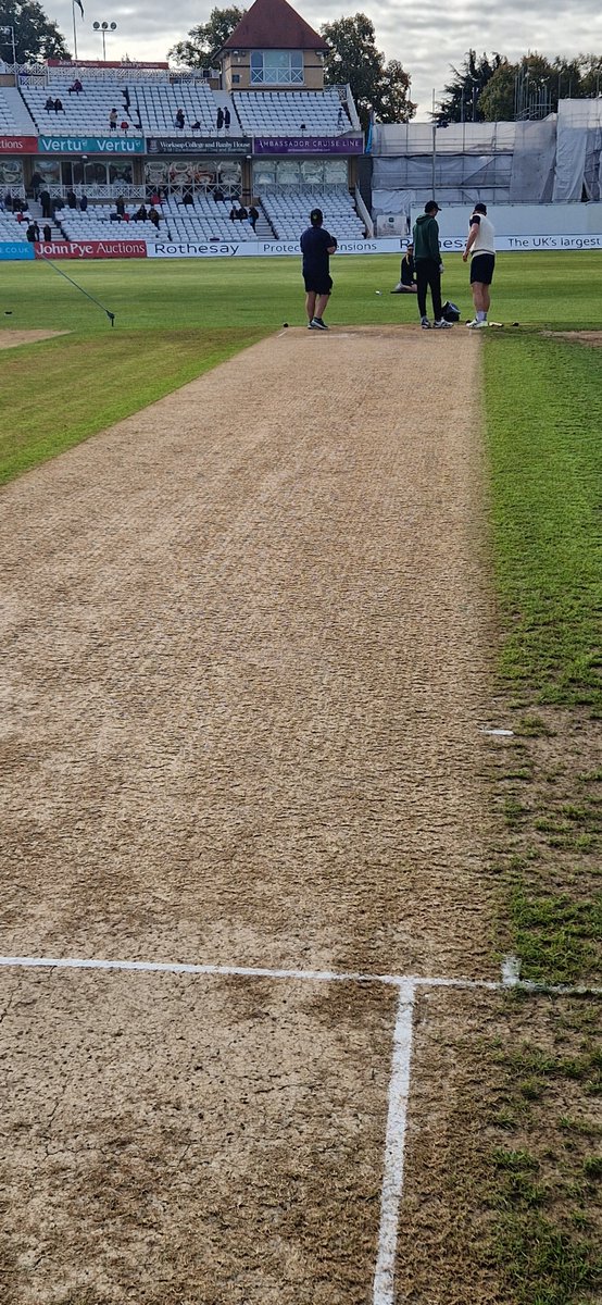 The strip at Trent Bridge for Nottinghamshire v Warwickshire #bbccricket