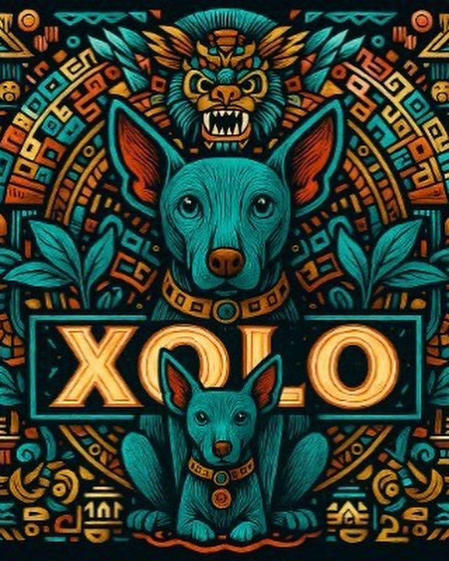autaabegye's tweet image. Check out $xolo IS THE GEM THAT GONNA PRINT MILLIONAIRE FOR ITS HOLDER. DYOR AND APE IN! 
Don’t fade in this giant.!!

Web: xrpxolo.xyz
Ca: rLUzh4ctFPXF3TT1q9owYYtNixBoidy567

@XRPXolo