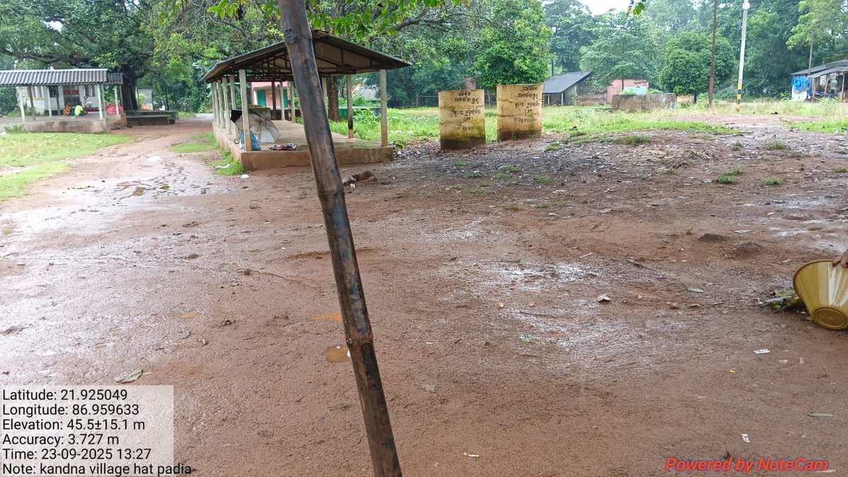 BDO MORADA tweet media