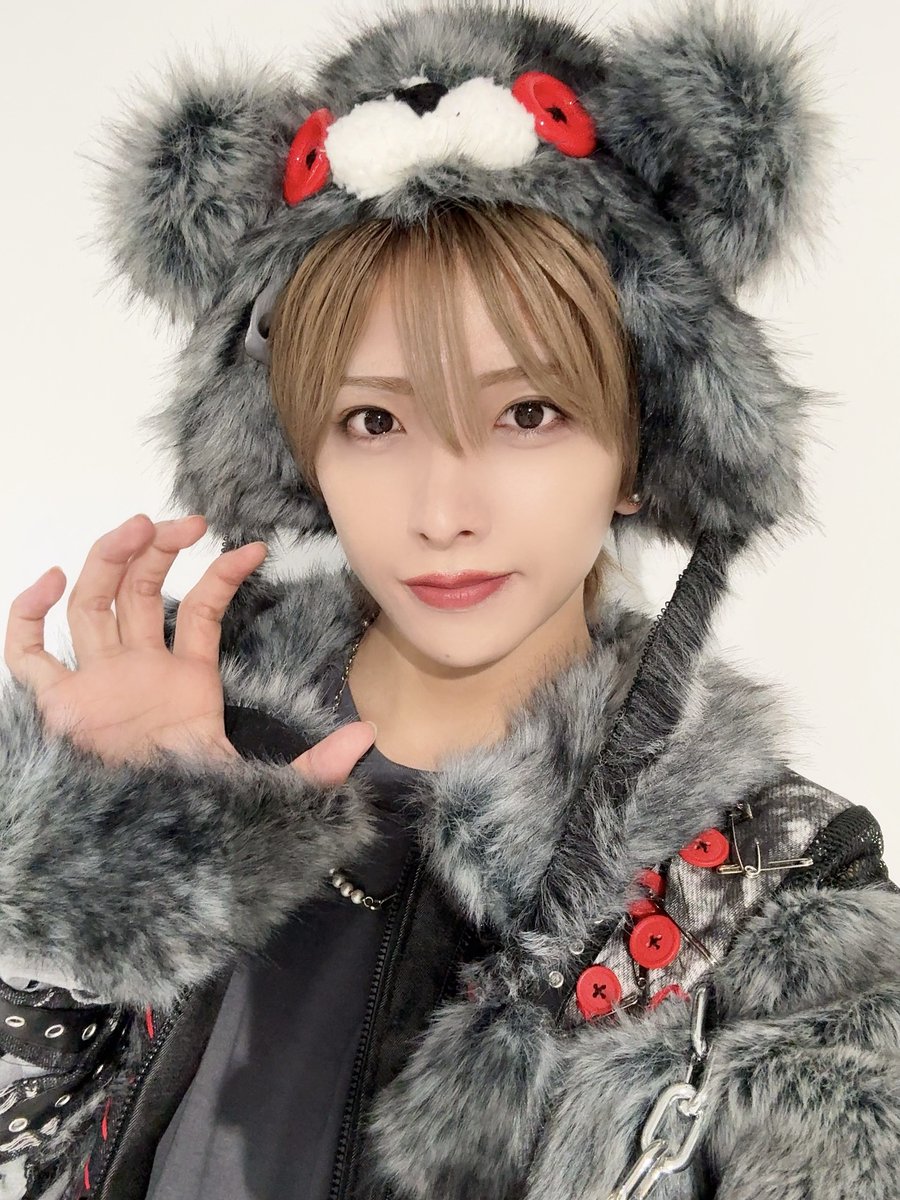 ねこねこ Amazon.co.jp: CAT: ねこネコこねこね! (しかけえほん