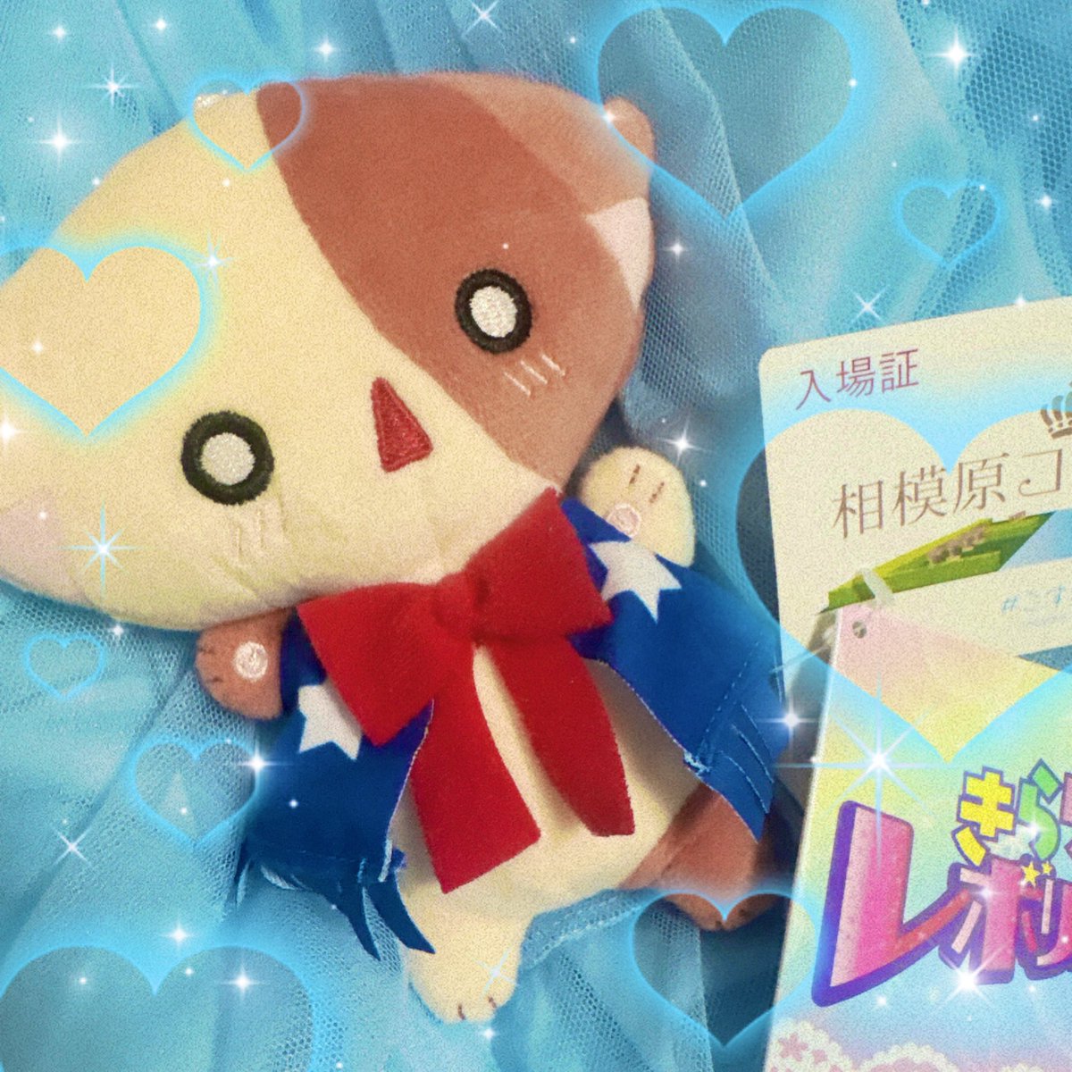 な〜がうちにきた！かわいい( ; ; )🐱☆*。