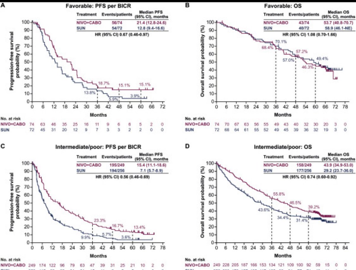 DrChoueiri's tweet image. Final analysis of Checkmate 9ER in @Annals_Oncology : 1L mRCC trial 

annalsofoncology.org/article/S0923-…