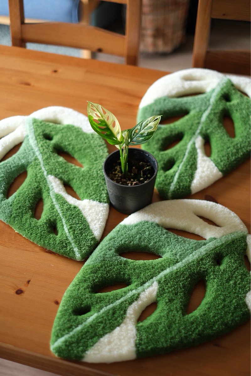 第3回草乱祭
出店者さん紹介！

plants here &amp; JUNE RUG

Instagram: @plants__here <a href="/june_rugs/">JUNE RUG | タフティング</a>

岐阜市にある観葉植物専門店plants here（プランツヒア）と手作りのラグを制作しているJUNE RUGです。