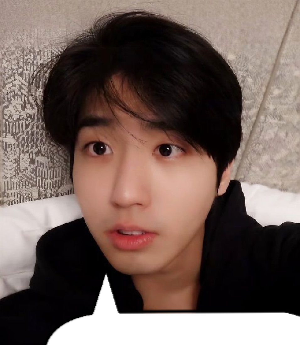 lisa🌙 (@_linosdino) on Twitter photo 