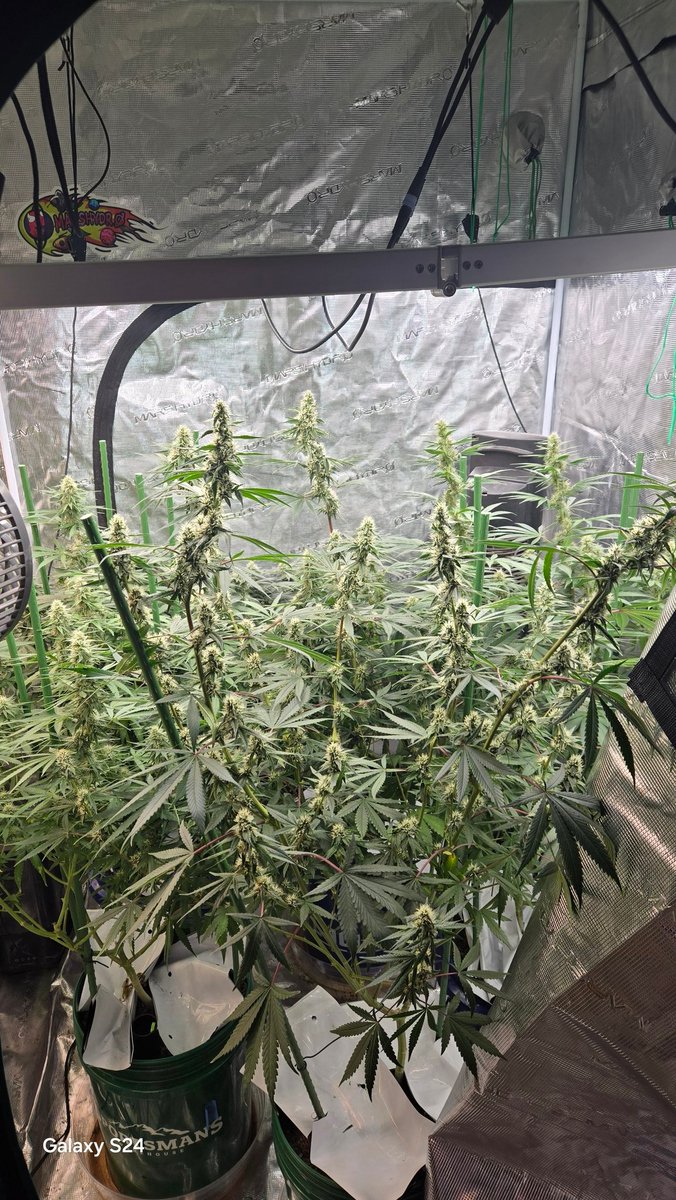 What gets me is some argue politics. Some argue religion when we have a common ground, let's quit bickering between ourselves over stupid divisive issues and Talk and share our Growing Experiences that's common ground if there's common ground on one  issue its a start to healing