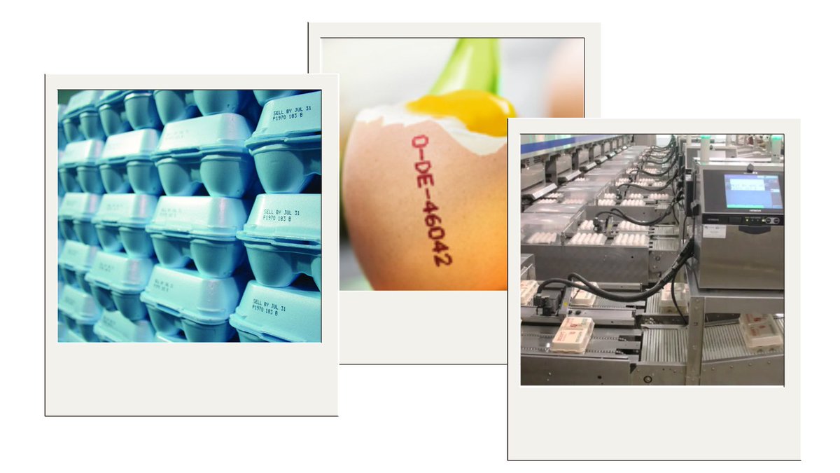 HitachiIndEquip's tweet image. Manage multiple printers, adapt to evolving coding requirements & ensure food safety without disrupting your production flow with Hitachi! 🥚🥚🥚 >>> tinyurl.com/2s3wzank
#MarkingAndCoding #HitachiMarkingSolutions #HitachiKnowledge #UX2 #InkjetPrinting #egg #EggIndustry