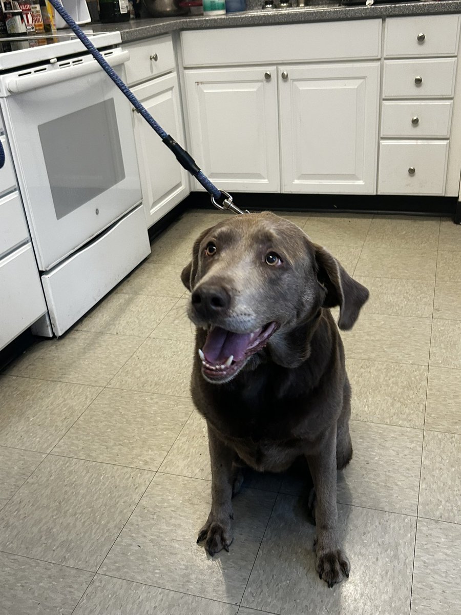 Dover PD tweet media